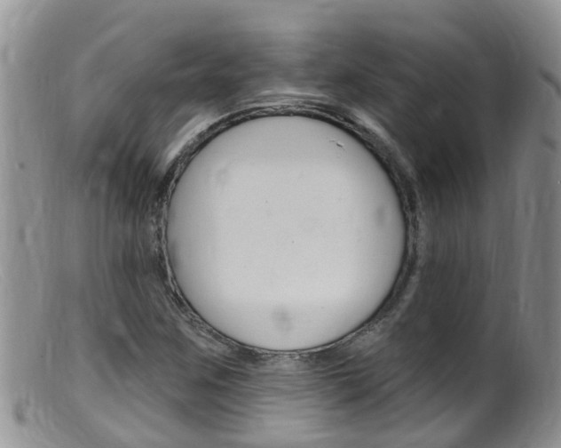 X0000099541259200805160740
