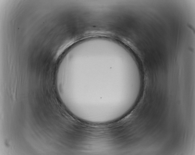 X0000099541261200805160740