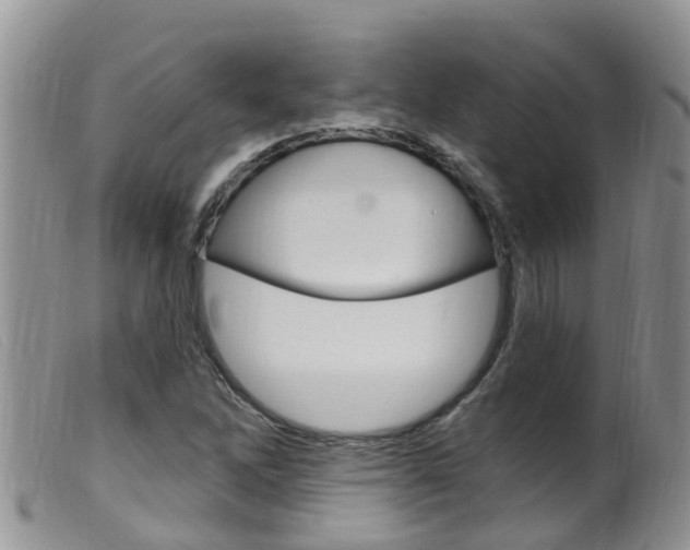 X0000099541262200805160740