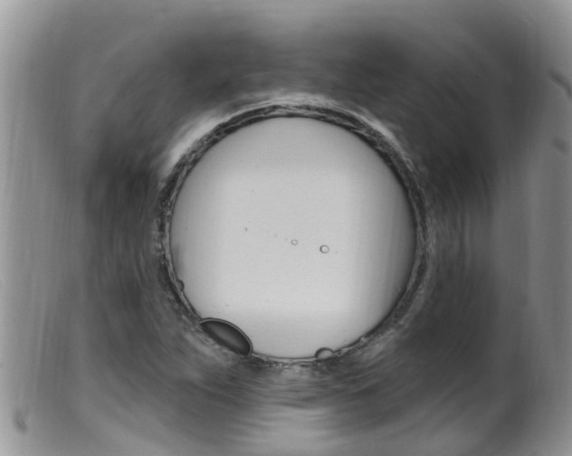 X0000099541263200805160740