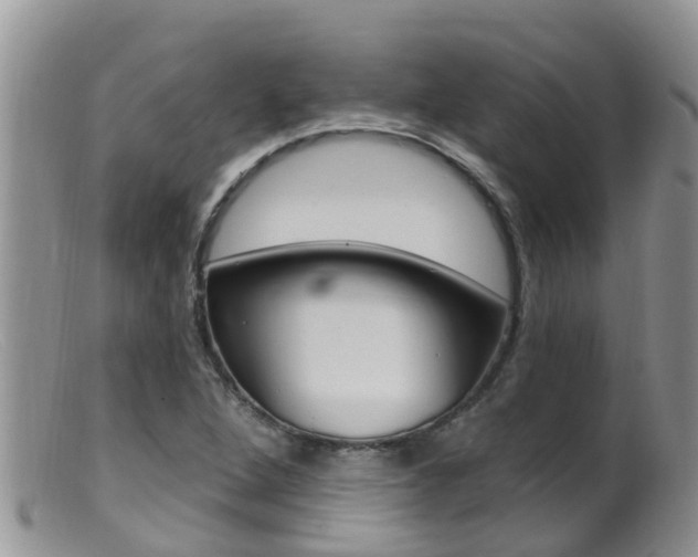 X0000099541264200805160740