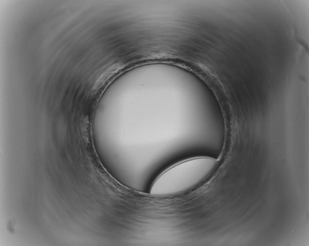 X0000099541265200805160740