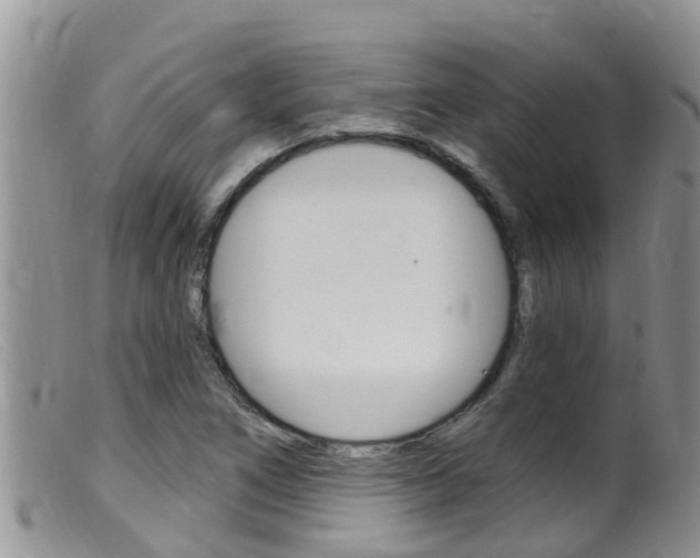 X0000099541266200805160740