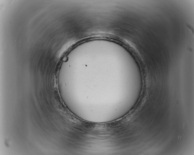 X0000099541267200805160740