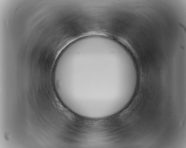 X0000099541268200805160740
