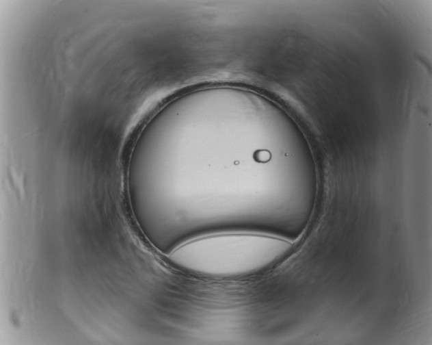 X0000099541270200805160740