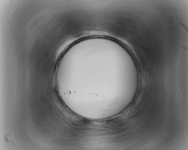 X0000099541271200805160740