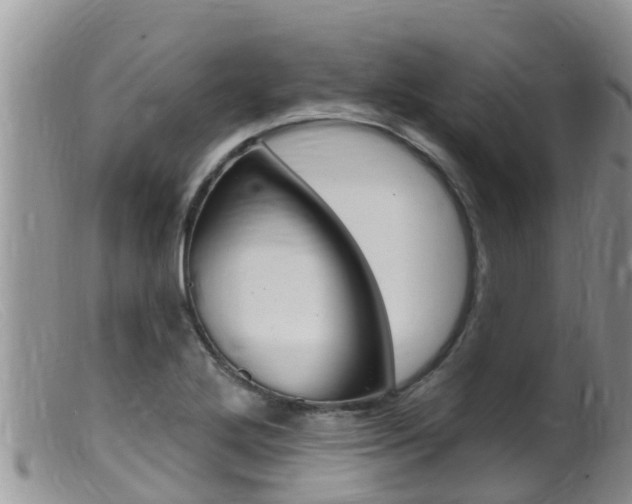 X0000099541272200805160740