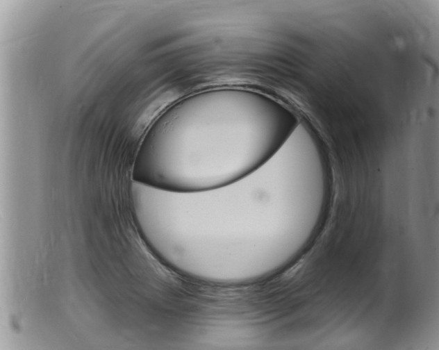 X0000099541273200805160740