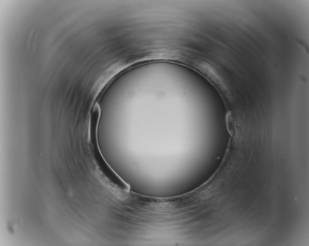X0000099541276200805160740