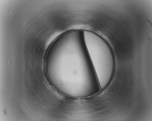 X0000099541277200805160740