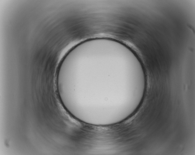 X0000099541278200805160740