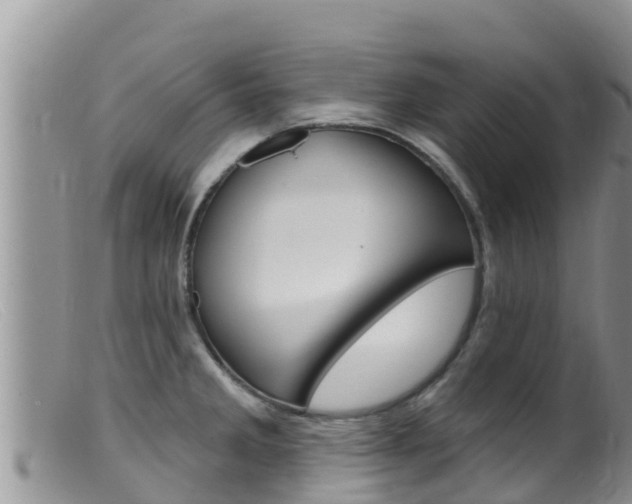 X0000099541285200805160740