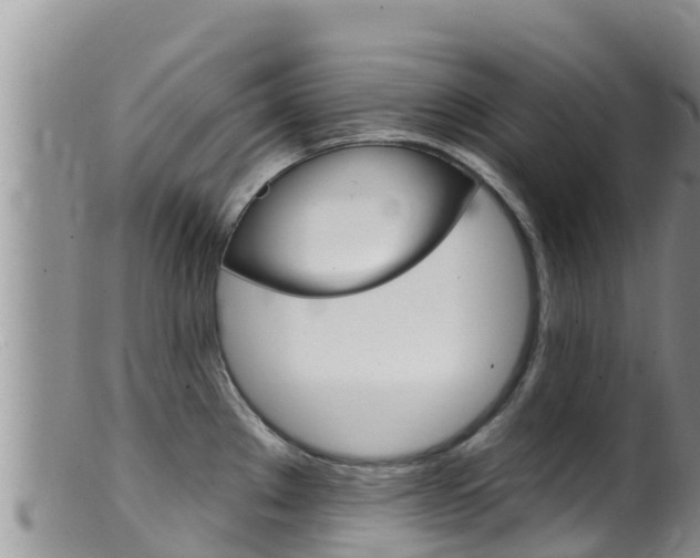 X0000099541289200805160740