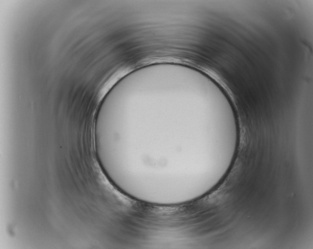 X0000099541290200805160740