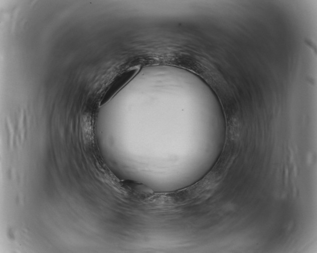 X0000099541298200805160739