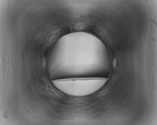 X0000099541299200805160739