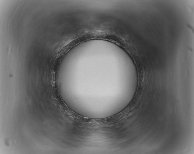 X0000099541301200805160739