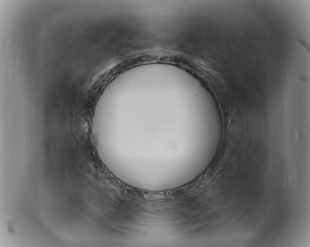 X0000099541302200805160739