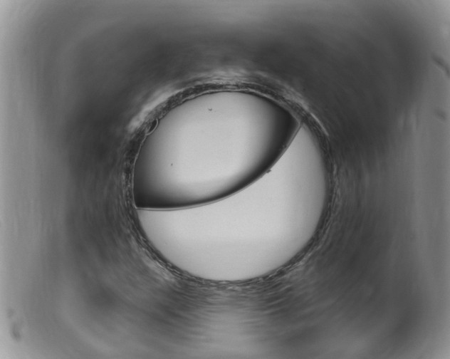 X0000099541304200805160739