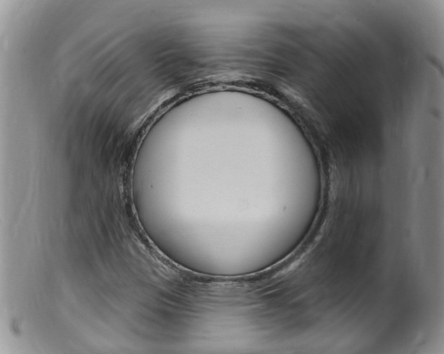 X0000099541305200805160739