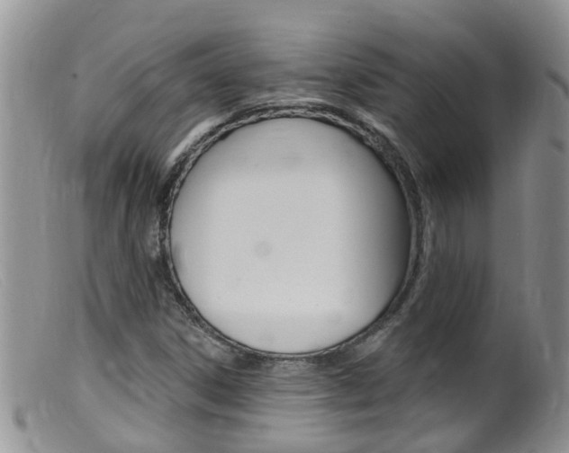 X0000099541306200805160739