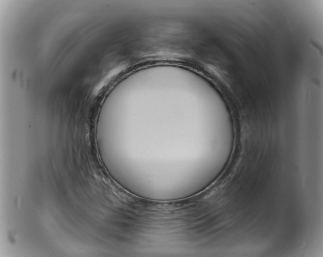 X0000099541307200805160739