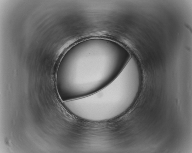 X0000099541308200805160739