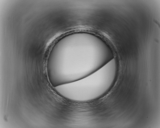X0000099541310200805160739