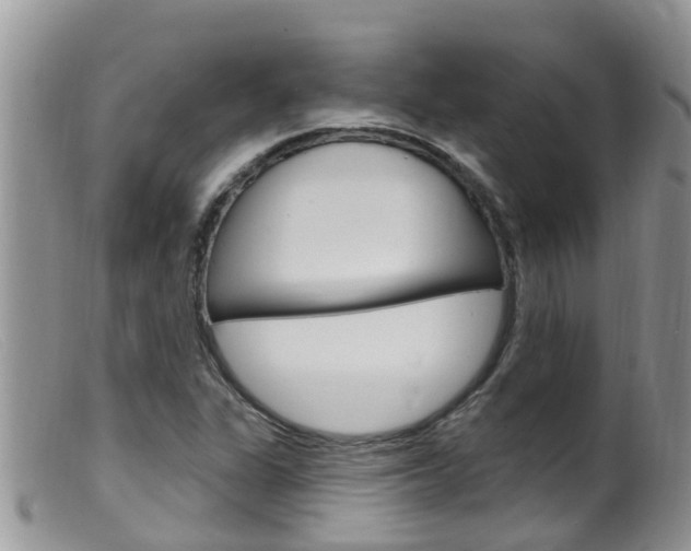 X0000099541311200805160739