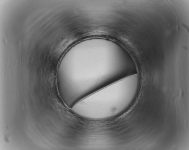 X0000099541313200805160739