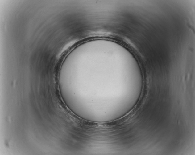 X0000099541315200805160739