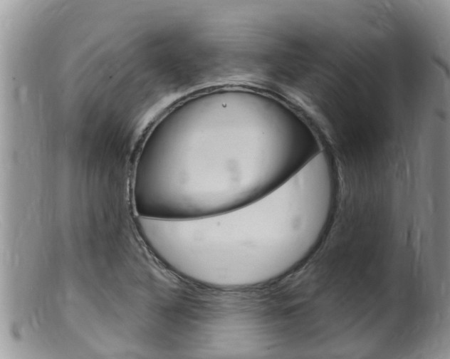 X0000099541316200805160739