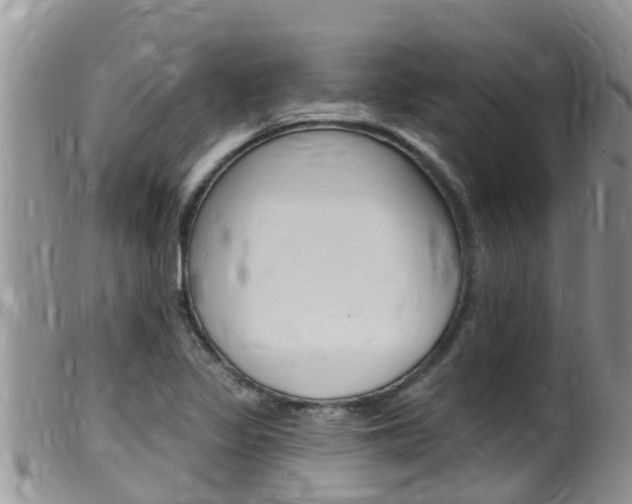 X0000099541317200805160739