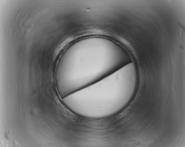 X0000099541318200805160739