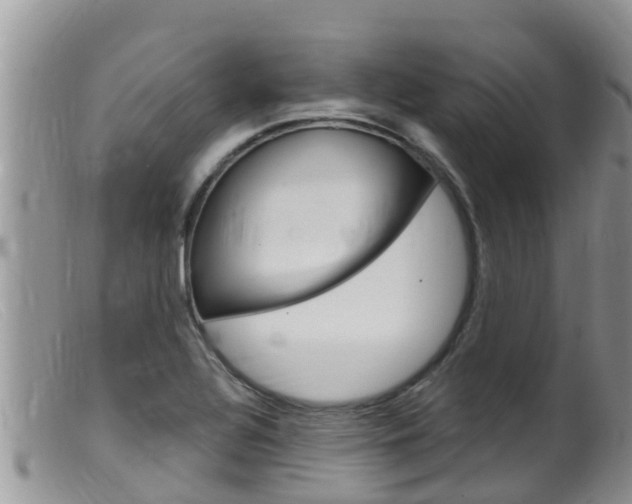 X0000099541320200805160739