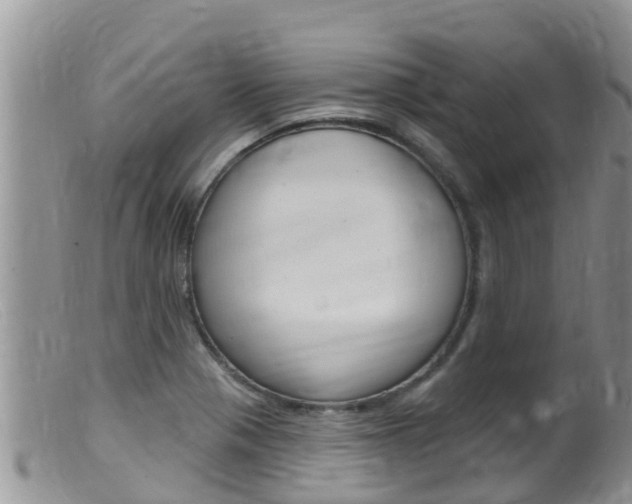 X0000099541321200805160739
