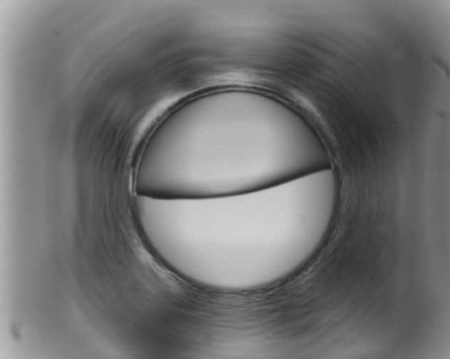 X0000099541323200805160739