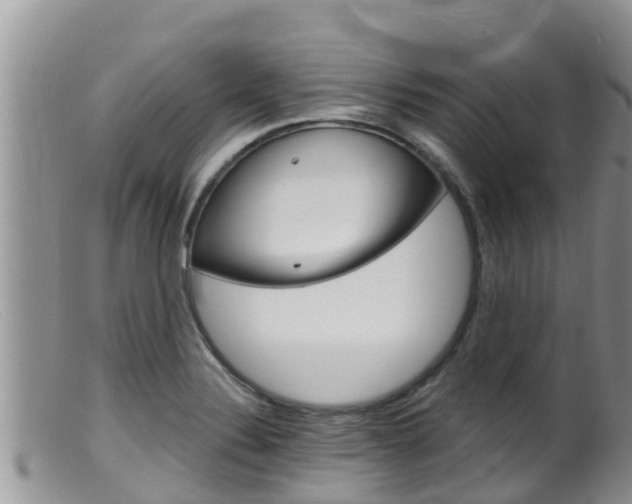X0000099541324200805160739