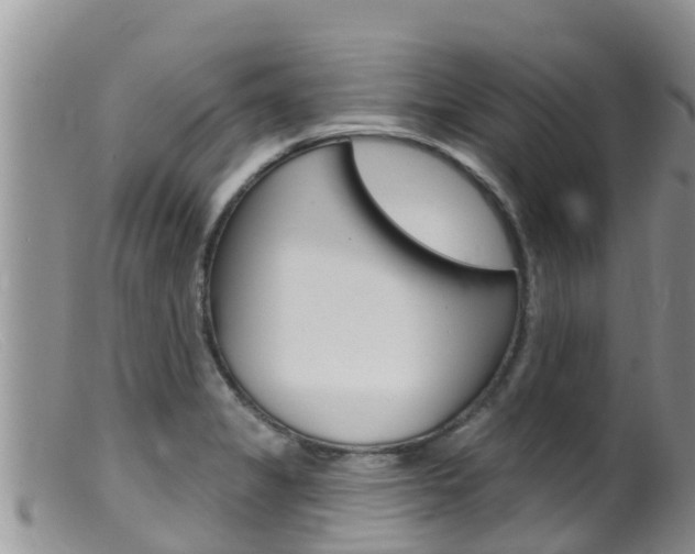 X0000099541325200805160739