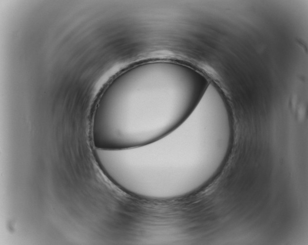 X0000099541326200805160739