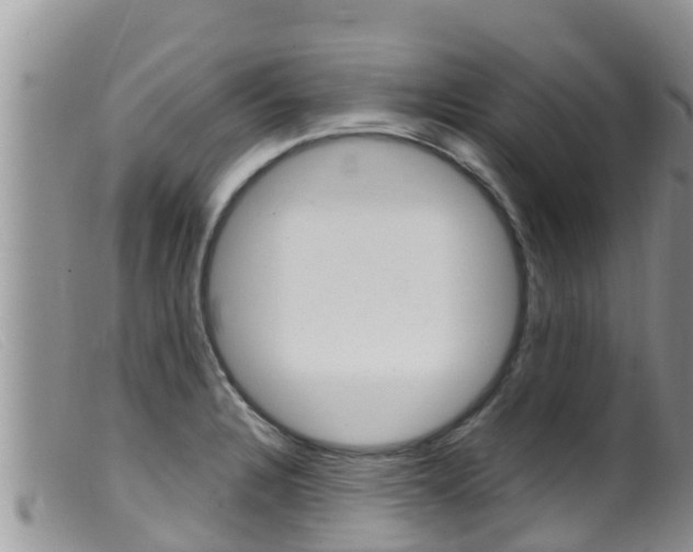 X0000099541328200805160739