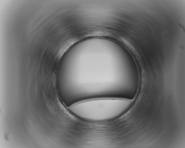 X0000099541329200805160739