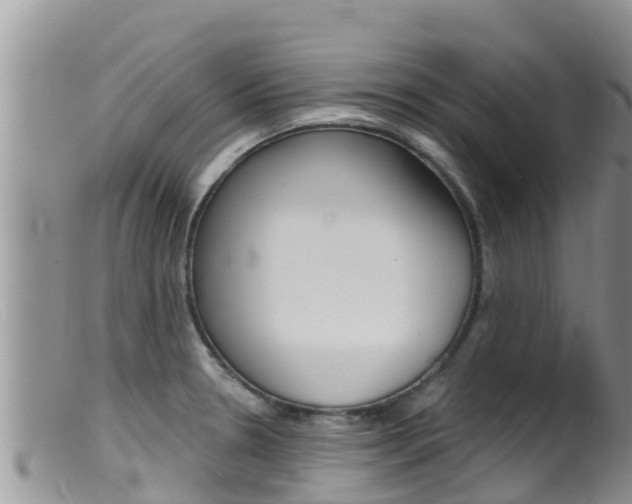 X0000099541330200805160739