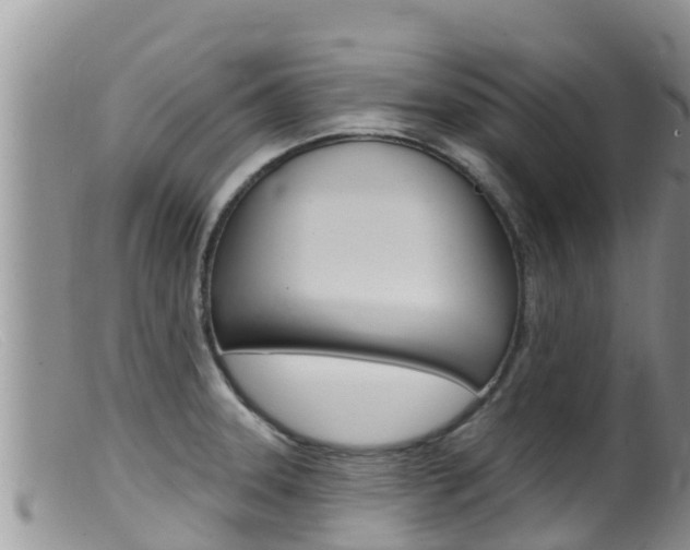 X0000099541331200805160739