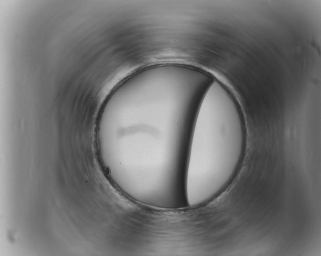 X0000099541333200805160739
