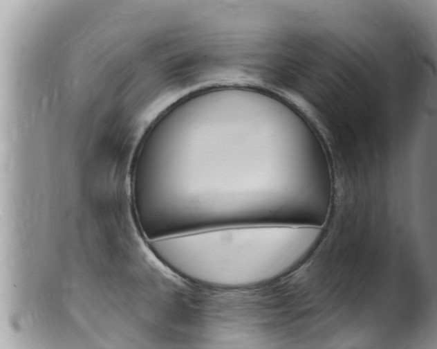 X0000099541335200805160739