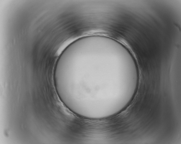 X0000099541336200805160739