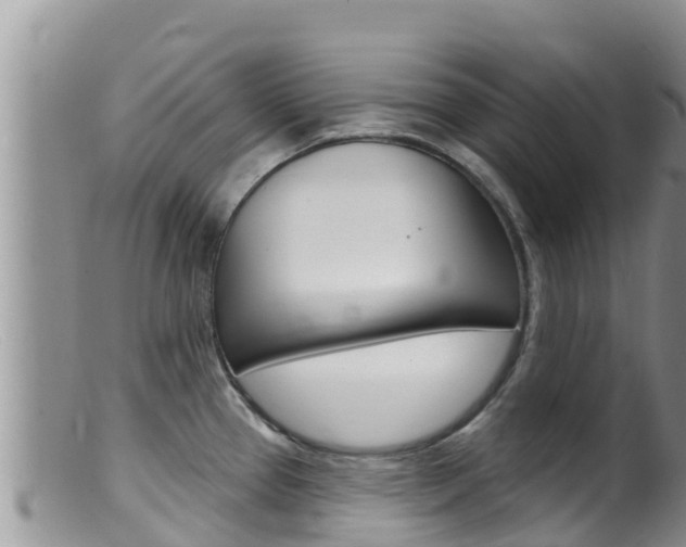 X0000099541337200805160739
