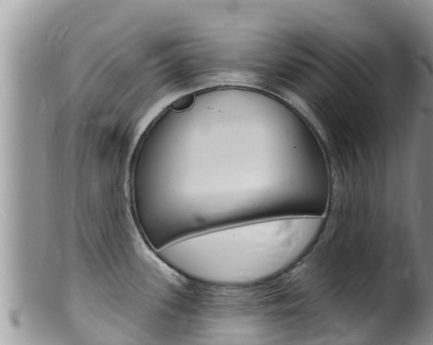 X0000099541339200805160740